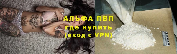 тгк Зеленодольск