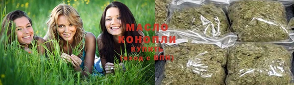 тгк Зеленодольск