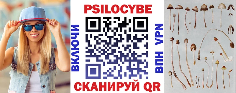 Купить где  Каменск-Шахтинский  Галлюциногенные грибы прущие грибы 